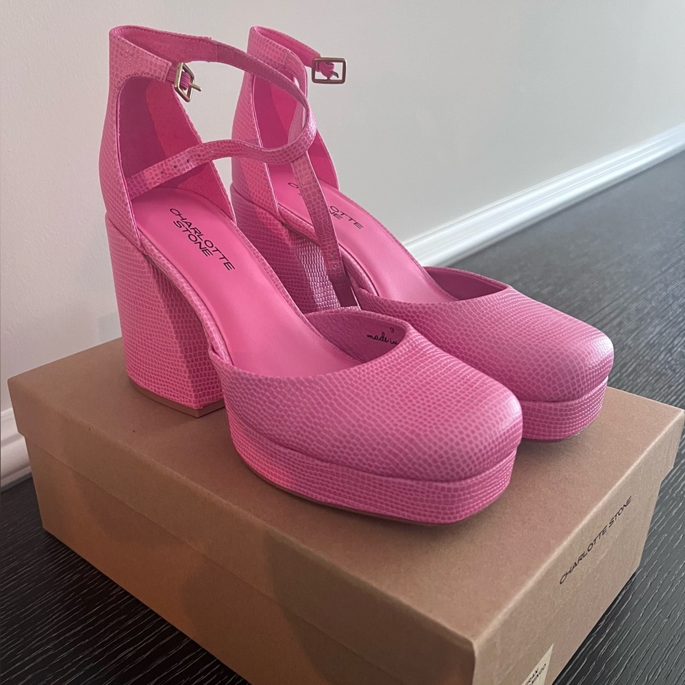 Charlotte Stone Pink Platform Shoes